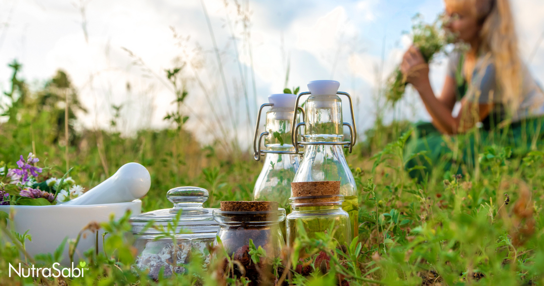 Adaptogenic Herbs