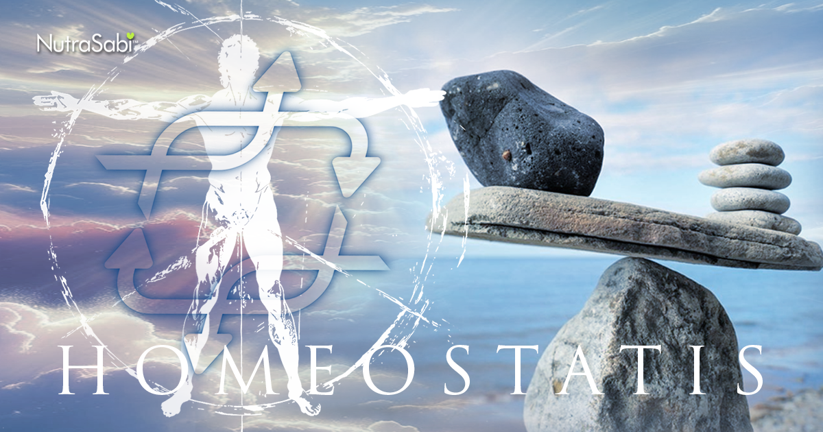 Wasabia Japonica & Homeostasis After 50